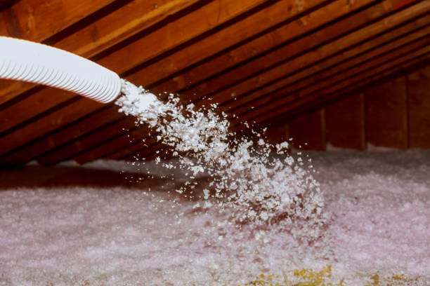 Best Residential Insulation in Ashdown, AR