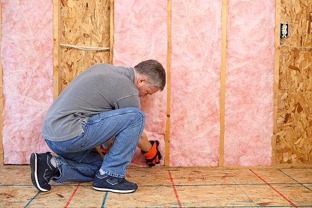 Best Commercial Insulation in Ashdown, AR